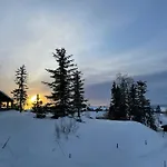 Family By Trails In Telemark *
