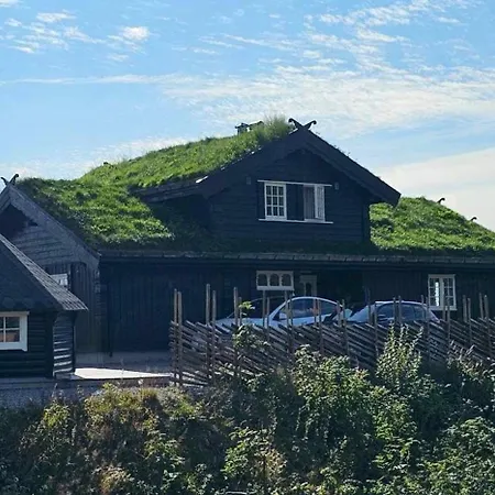 度假居 Family By Trails In Telemark Lifjell