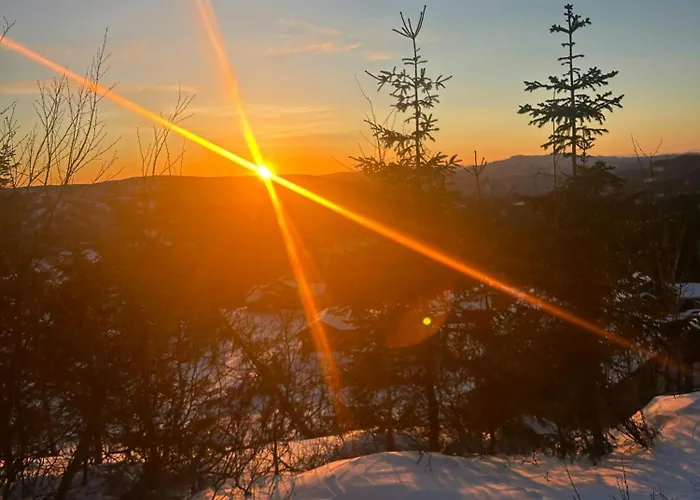 Family By Trails In Telemark *