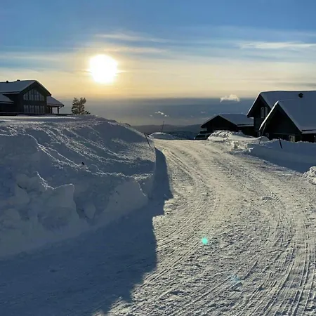 Family By Trails In Telemark *